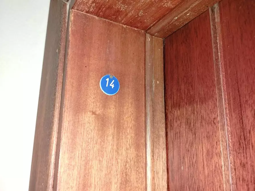 Immagine 20 di Appartamento in vendita  a Rosignano Marittimo