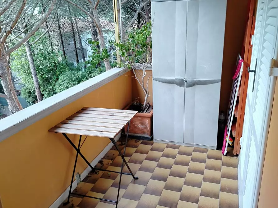 Immagine 6 di Appartamento in vendita  a Rosignano Marittimo