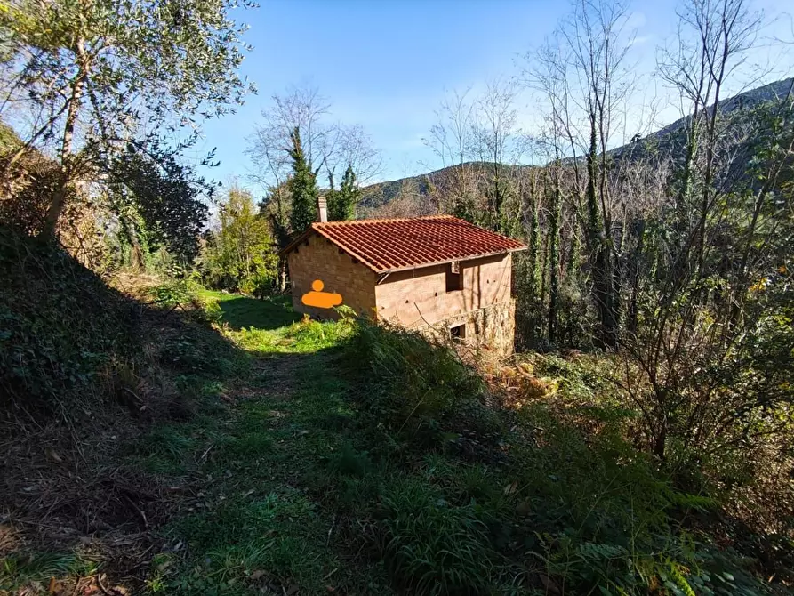 Immagine 39 di Rustico / casale in vendita  a Capannori