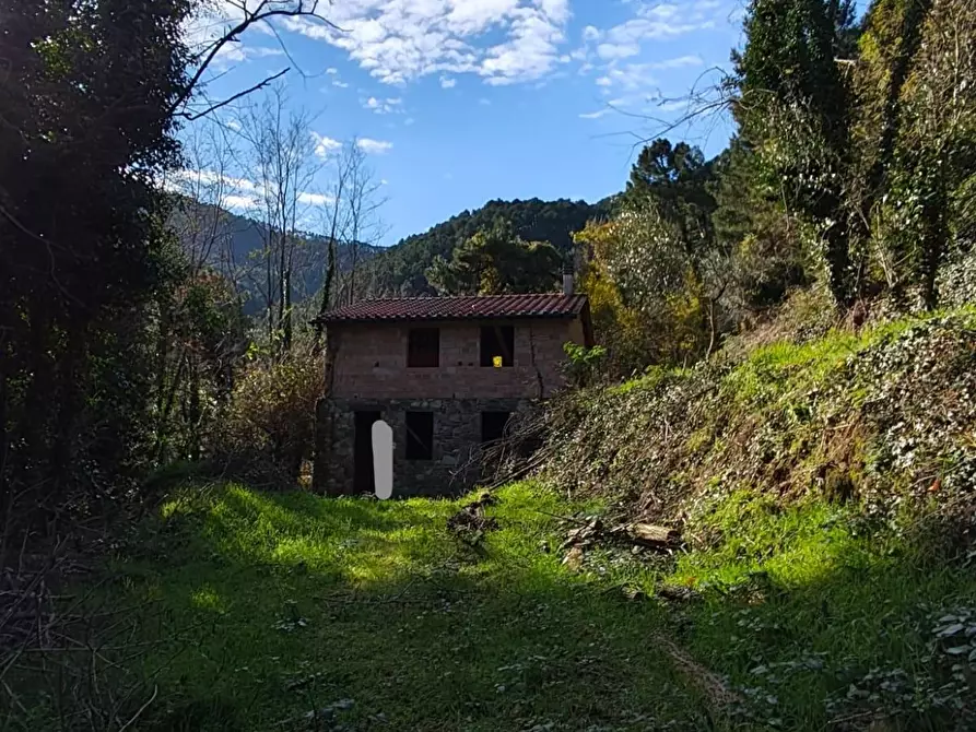Immagine 12 di Rustico / casale in vendita  a Capannori