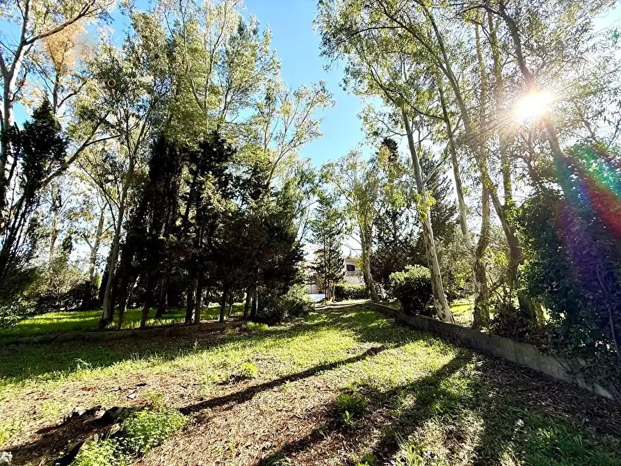 Immagine 25 di Villa in vendita  a Alessano