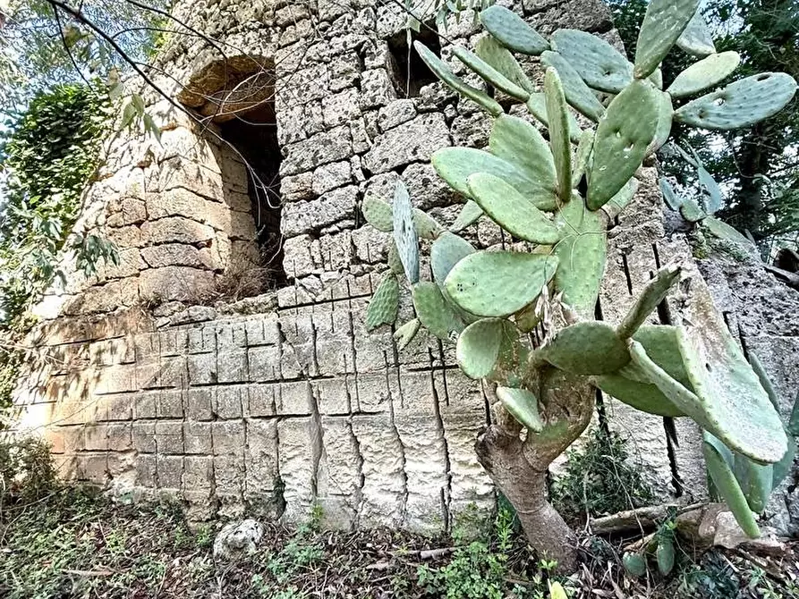 Immagine 28 di Villa in vendita  a Alessano