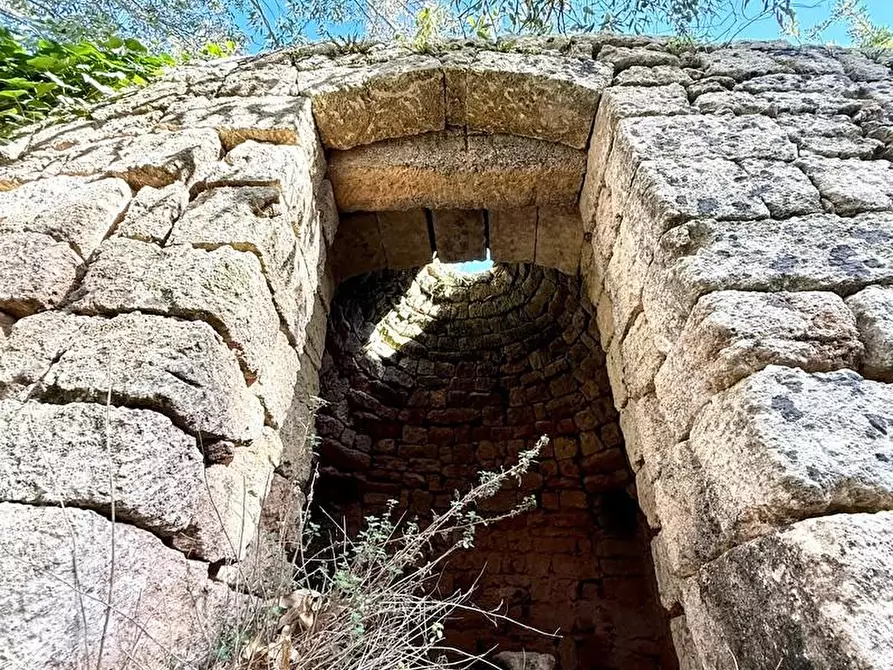 Immagine 29 di Villa in vendita  a Alessano