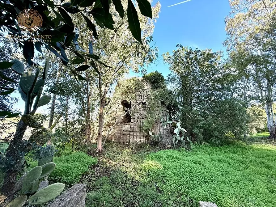 Immagine 27 di Villa in vendita  a Alessano