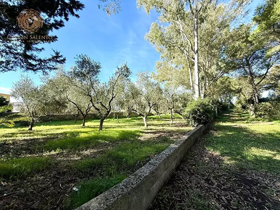 Immagine 21 di Villa in vendita  a Alessano