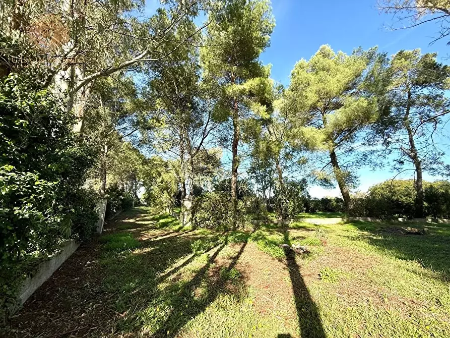 Immagine 22 di Villa in vendita  a Alessano