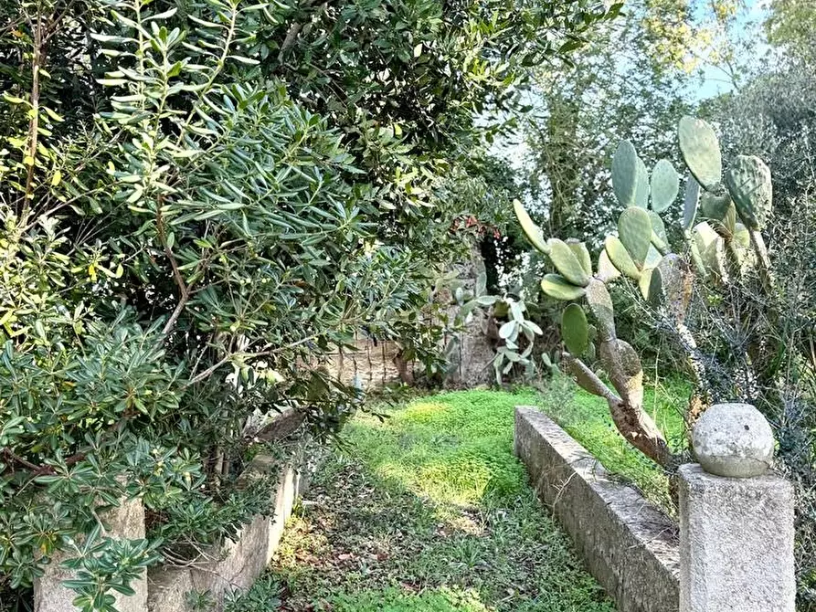 Immagine 26 di Villa in vendita  a Alessano