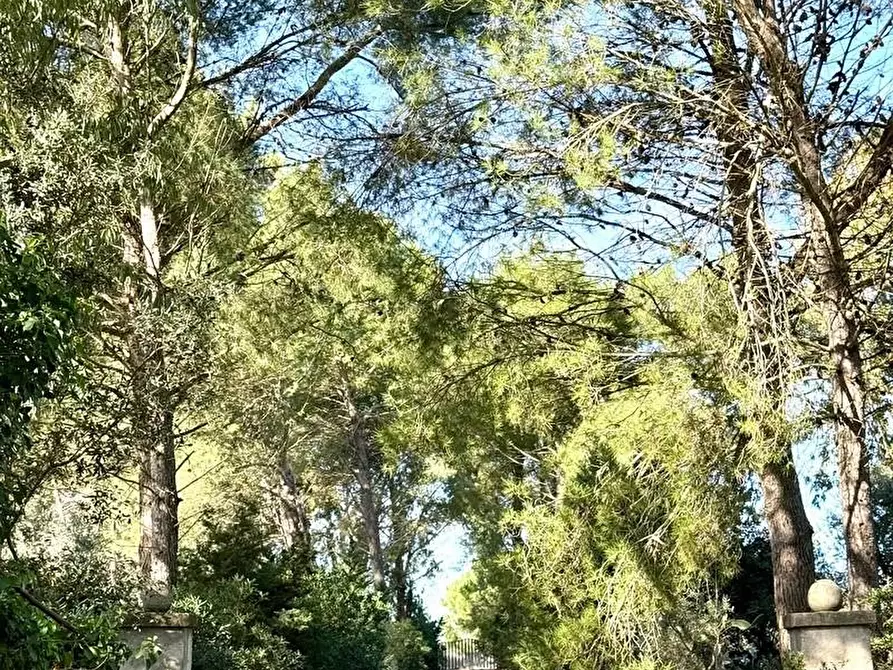 Immagine 23 di Villa in vendita  a Alessano