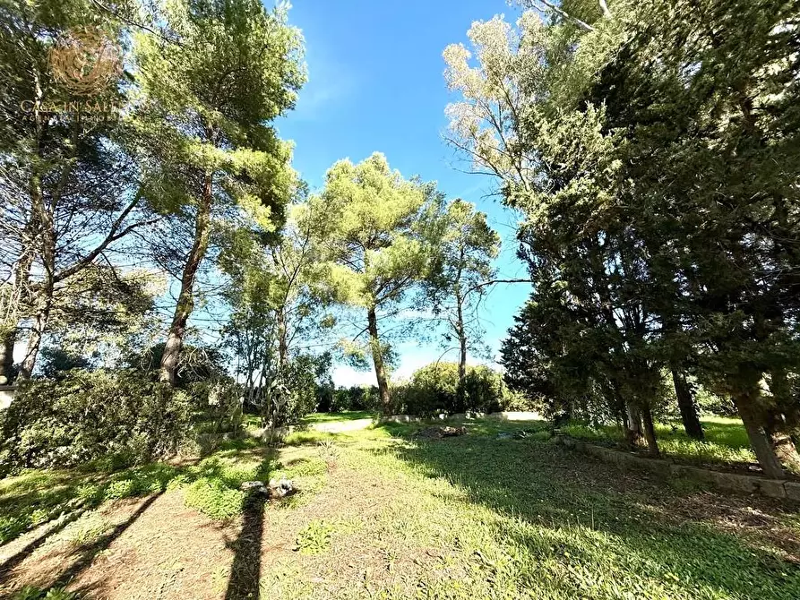 Immagine 24 di Villa in vendita  a Alessano