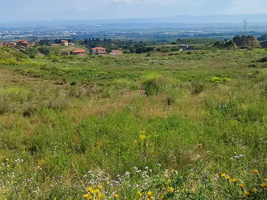Immagine 7 di Terreno agricolo in vendita  a Misterbianco