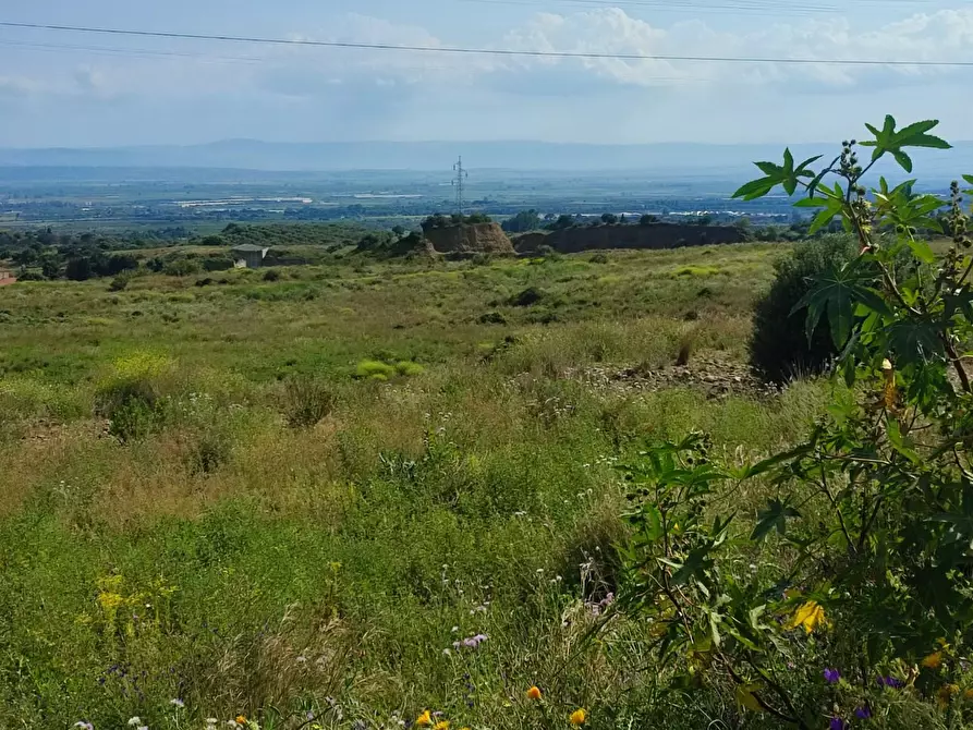 Immagine 6 di Terreno agricolo in vendita  a Misterbianco
