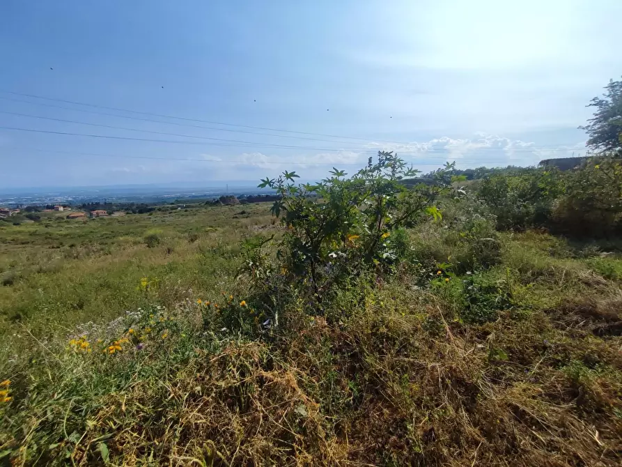 Immagine 4 di Terreno agricolo in vendita  a Misterbianco