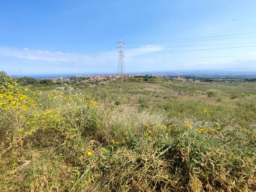 Immagine 3 di Terreno agricolo in vendita  a Misterbianco