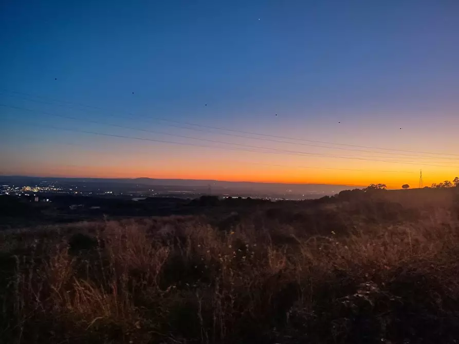 Immagine 1 di Terreno agricolo in vendita  a Misterbianco