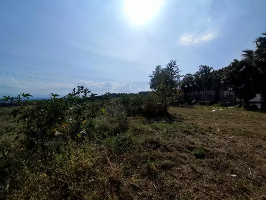 Immagine 5 di Terreno agricolo in vendita  a Misterbianco