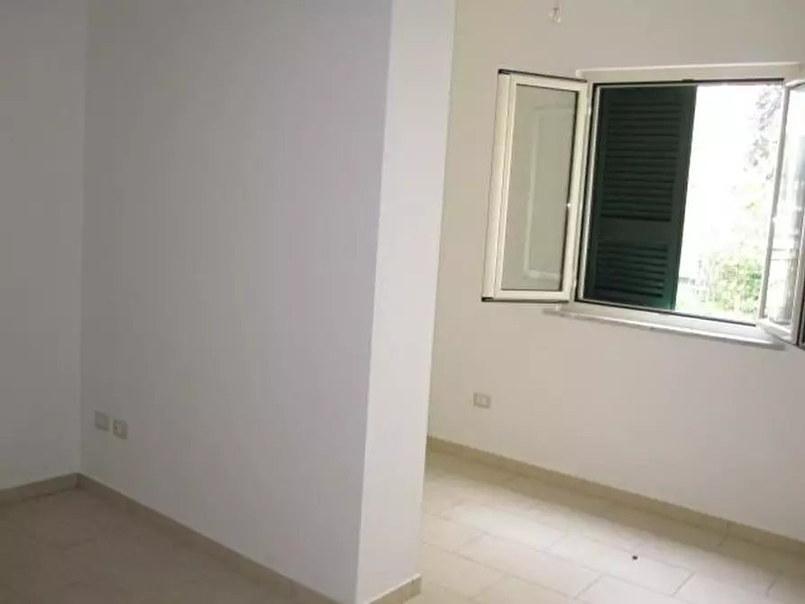 Immagine 5 di Appartamento in affitto  a Pisa