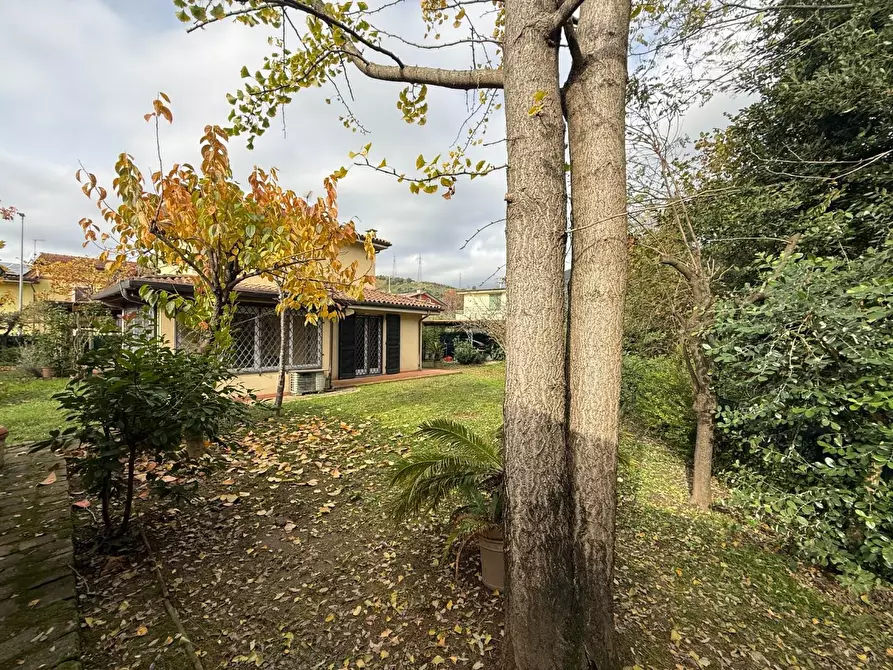 Immagine 8 di Casa indipendente in vendita  a Massa