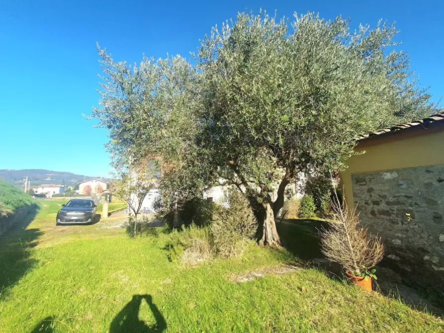 Immagine 67 di Terratetto in vendita  a Lucca