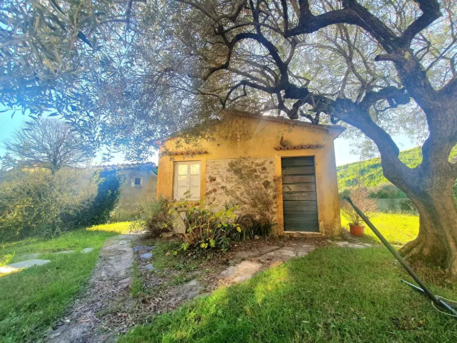 Immagine 63 di Terratetto in vendita  a Lucca