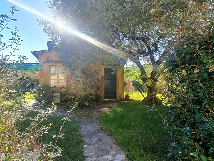 Immagine 61 di Terratetto in vendita  a Lucca