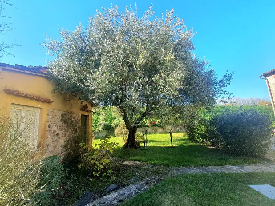 Immagine 62 di Terratetto in vendita  a Lucca