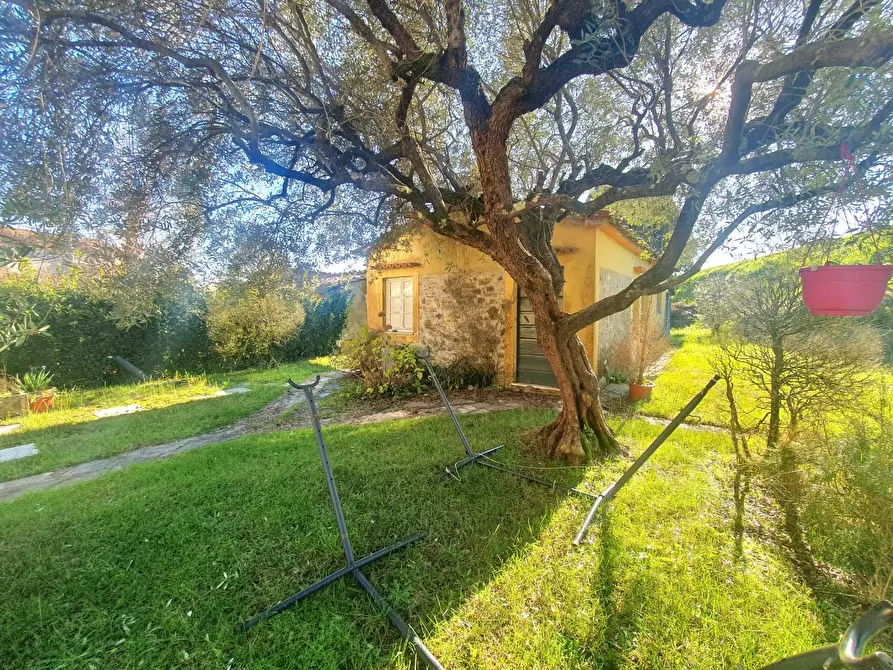 Immagine 65 di Terratetto in vendita  a Lucca