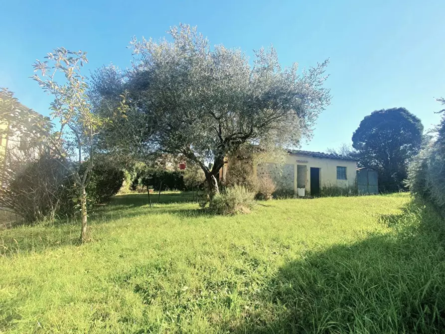 Immagine 64 di Terratetto in vendita  a Lucca