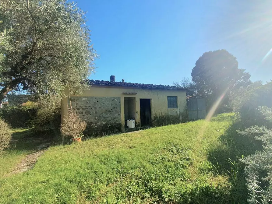 Immagine 66 di Terratetto in vendita  a Lucca