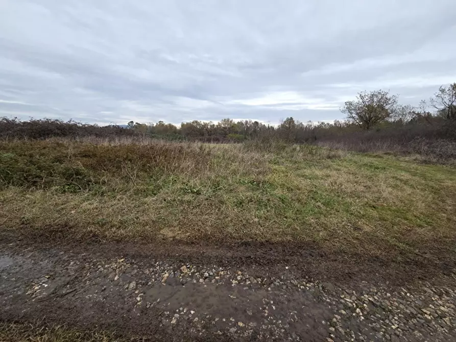 Immagine 2 di Terreno agricolo in vendita  a Castelfranco Di Sotto