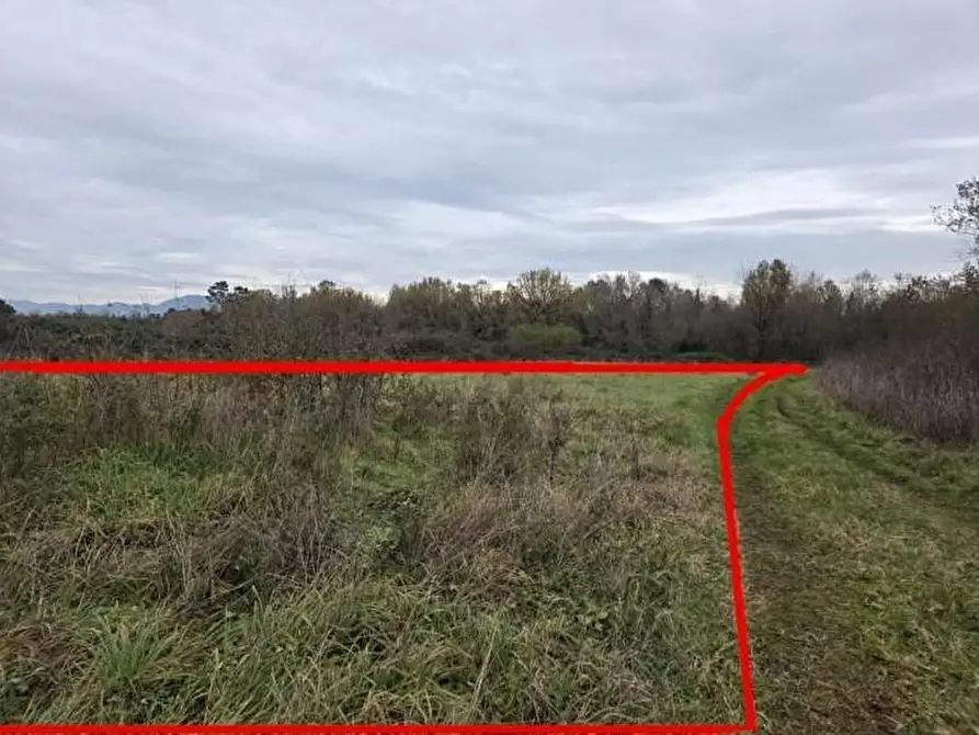 Immagine 7 di Terreno agricolo in vendita  a Castelfranco Di Sotto