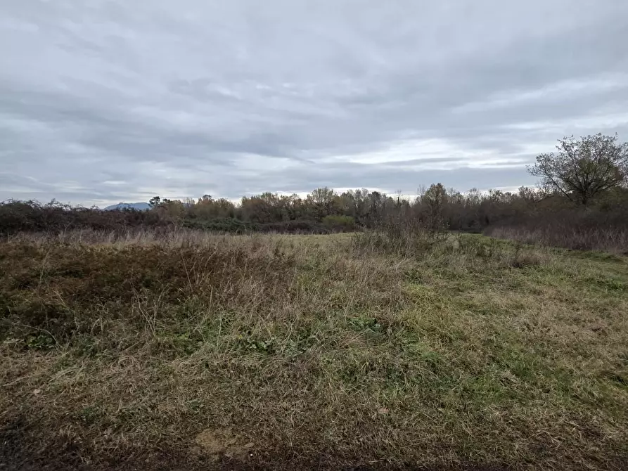 Immagine 6 di Terreno agricolo in vendita  a Castelfranco Di Sotto