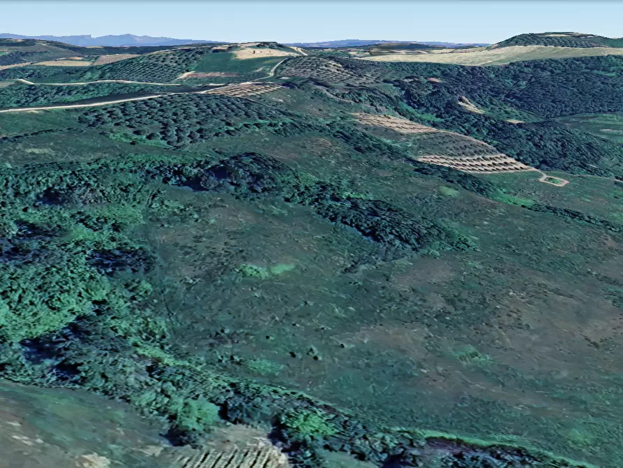 Immagine 1 di Terreno agricolo in vendita  a San Miniato