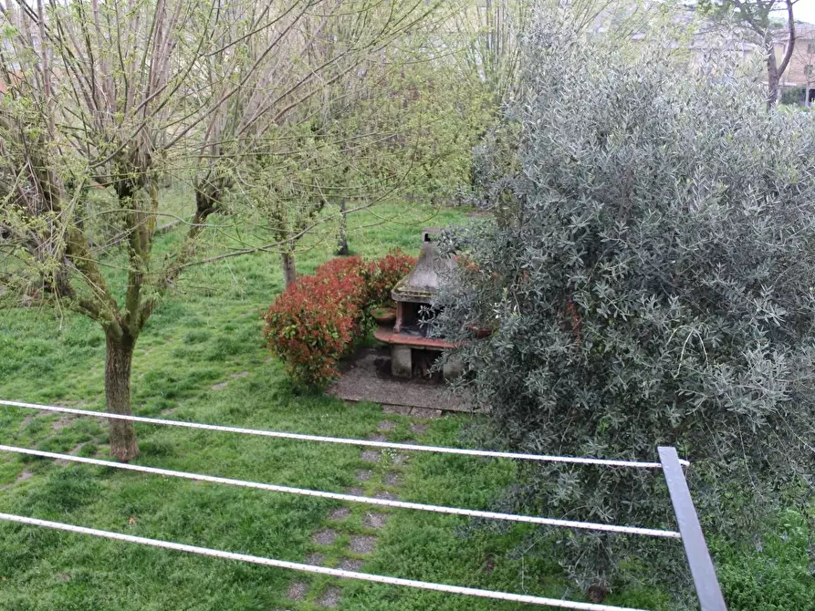 Immagine 21 di Appartamento in vendita  a Monteroni D'arbia