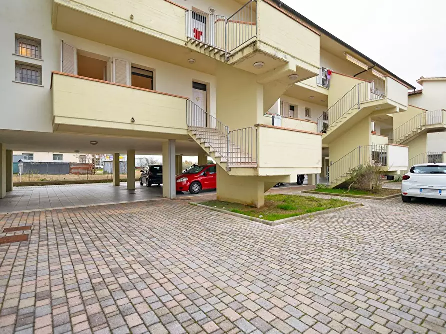 Immagine 18 di Appartamento in vendita  a Santa Maria A Monte