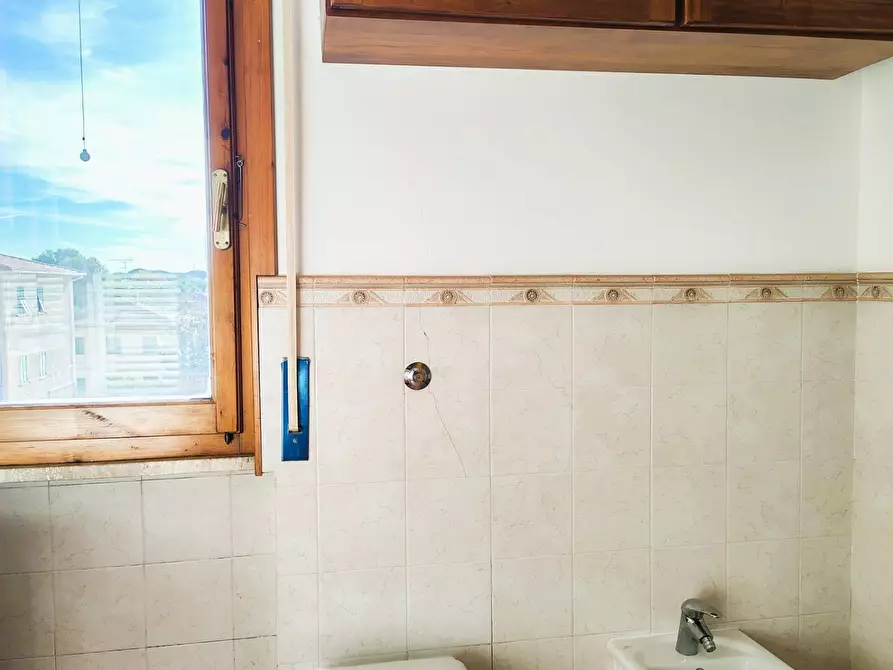 Immagine 12 di Appartamento in vendita  a Rosignano Marittimo