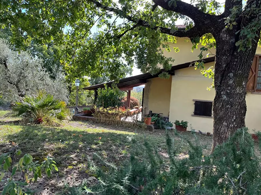 Immagine 29 di Villa in vendita  a Castelnuovo Magra