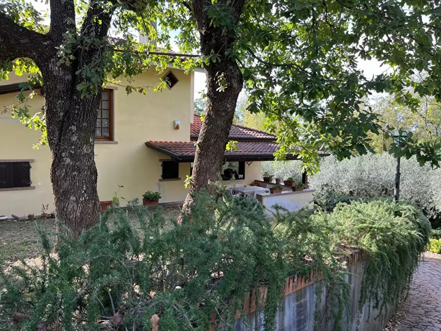 Immagine 28 di Villa in vendita  a Castelnuovo Magra