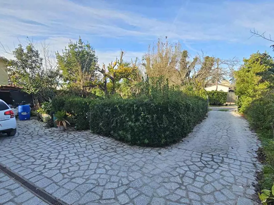 Immagine 21 di Villa in vendita  a Massa