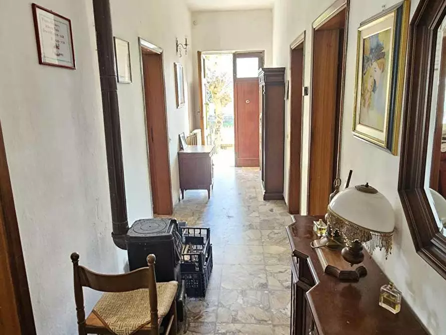 Immagine 17 di Villa in vendita  a Massa