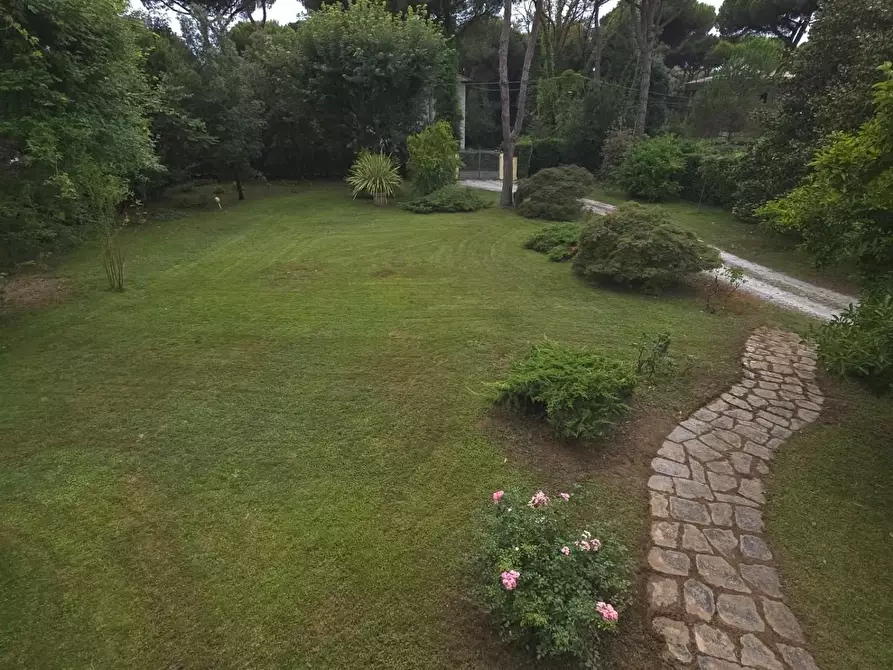 Immagine 4 di Villa in vendita  a Massa