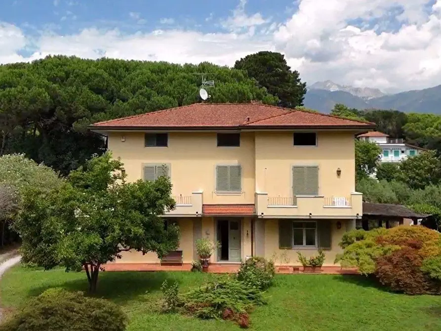 Immagine 2 di Villa in vendita  a Massa