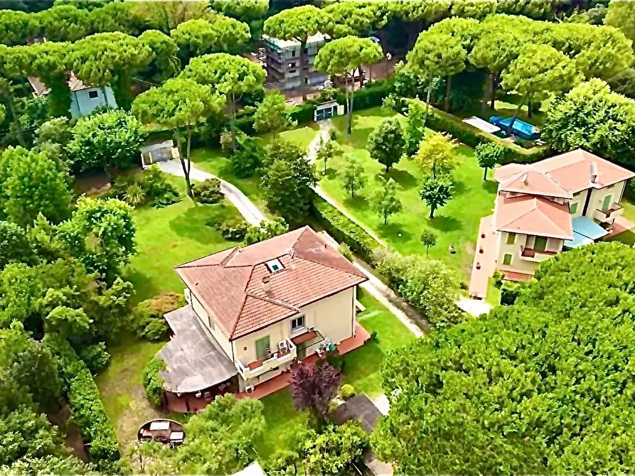 Immagine 5 di Villa in vendita  a Massa
