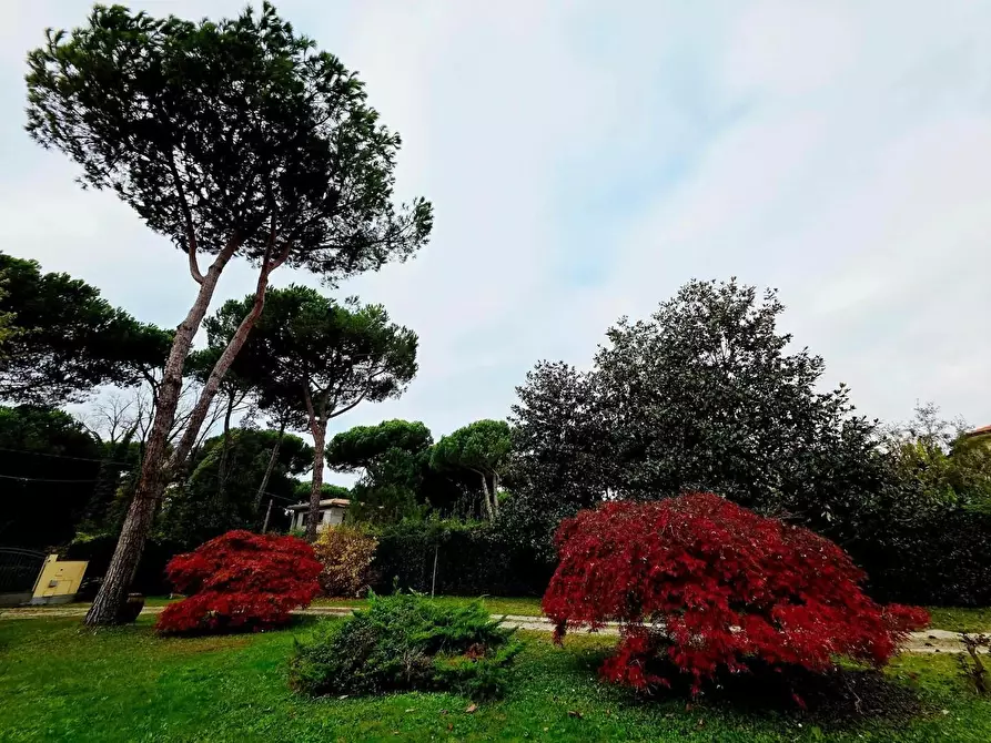 Immagine 11 di Villa in vendita  a Massa