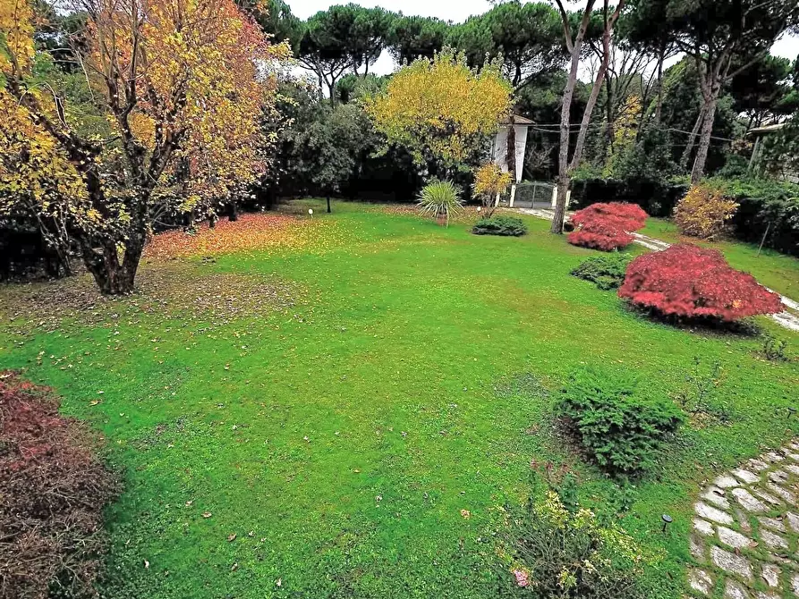 Immagine 7 di Villa in vendita  a Massa