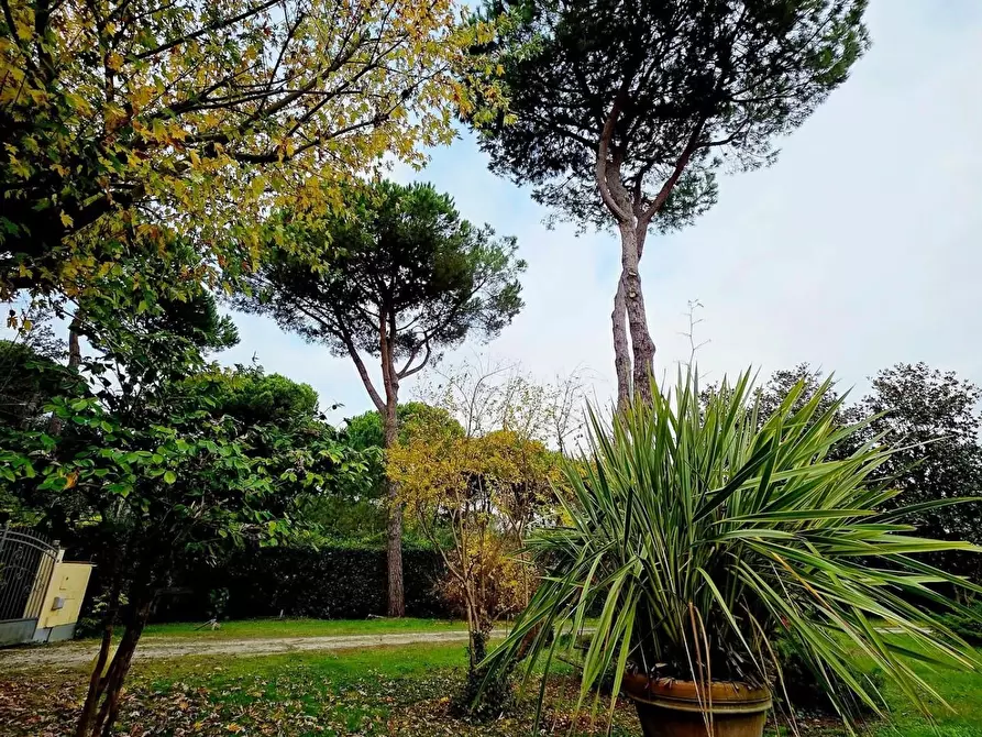 Immagine 8 di Villa in vendita  a Massa