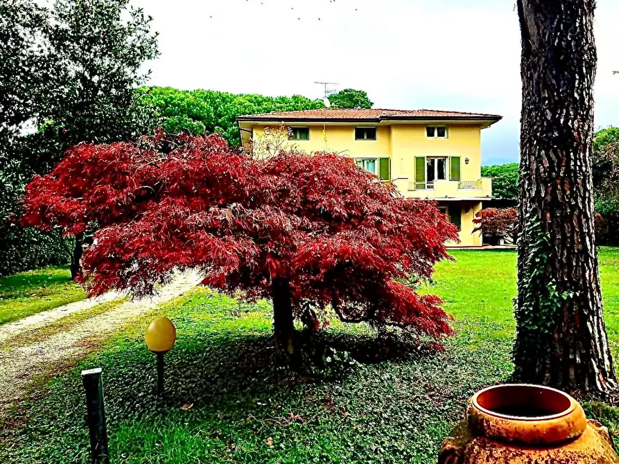 Immagine 12 di Villa in vendita  a Massa