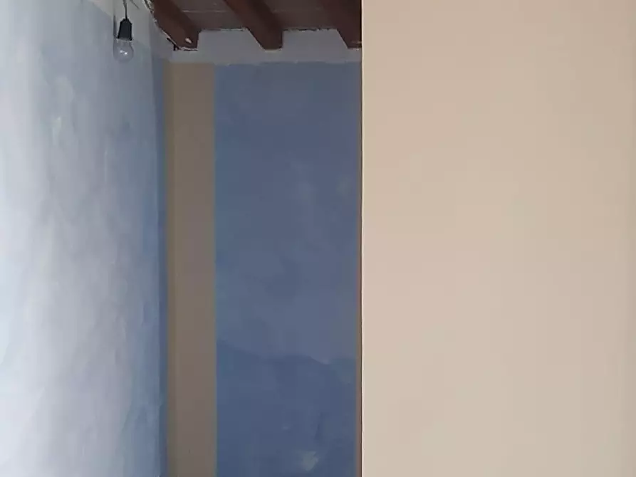 Immagine 9 di Terratetto in affitto  a Vicopisano