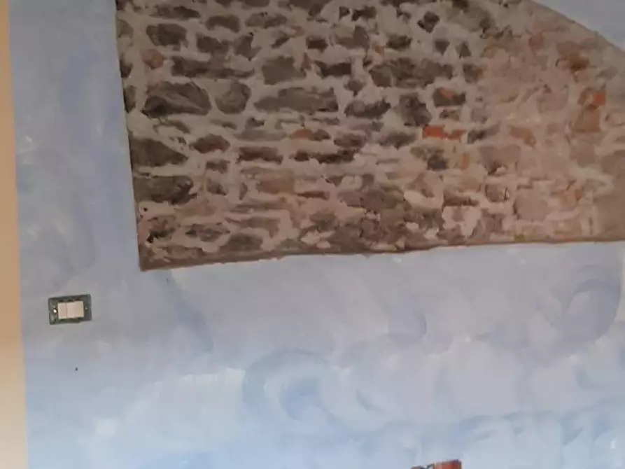 Immagine 6 di Terratetto in affitto  a Vicopisano