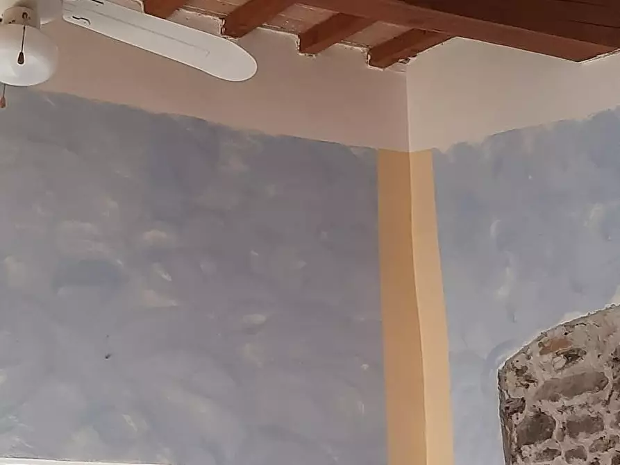 Immagine 17 di Terratetto in affitto  a Vicopisano