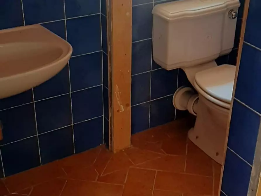 Immagine 5 di Terratetto in affitto  a Vicopisano